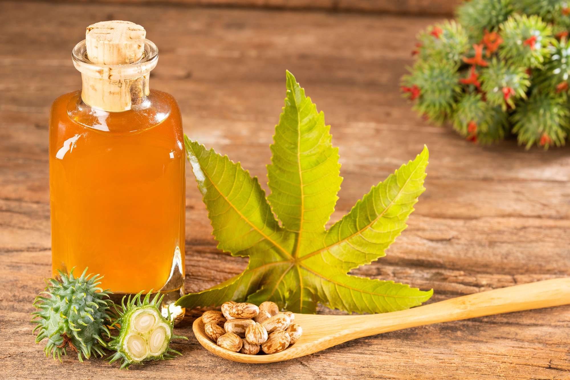 Castor Oil Pack